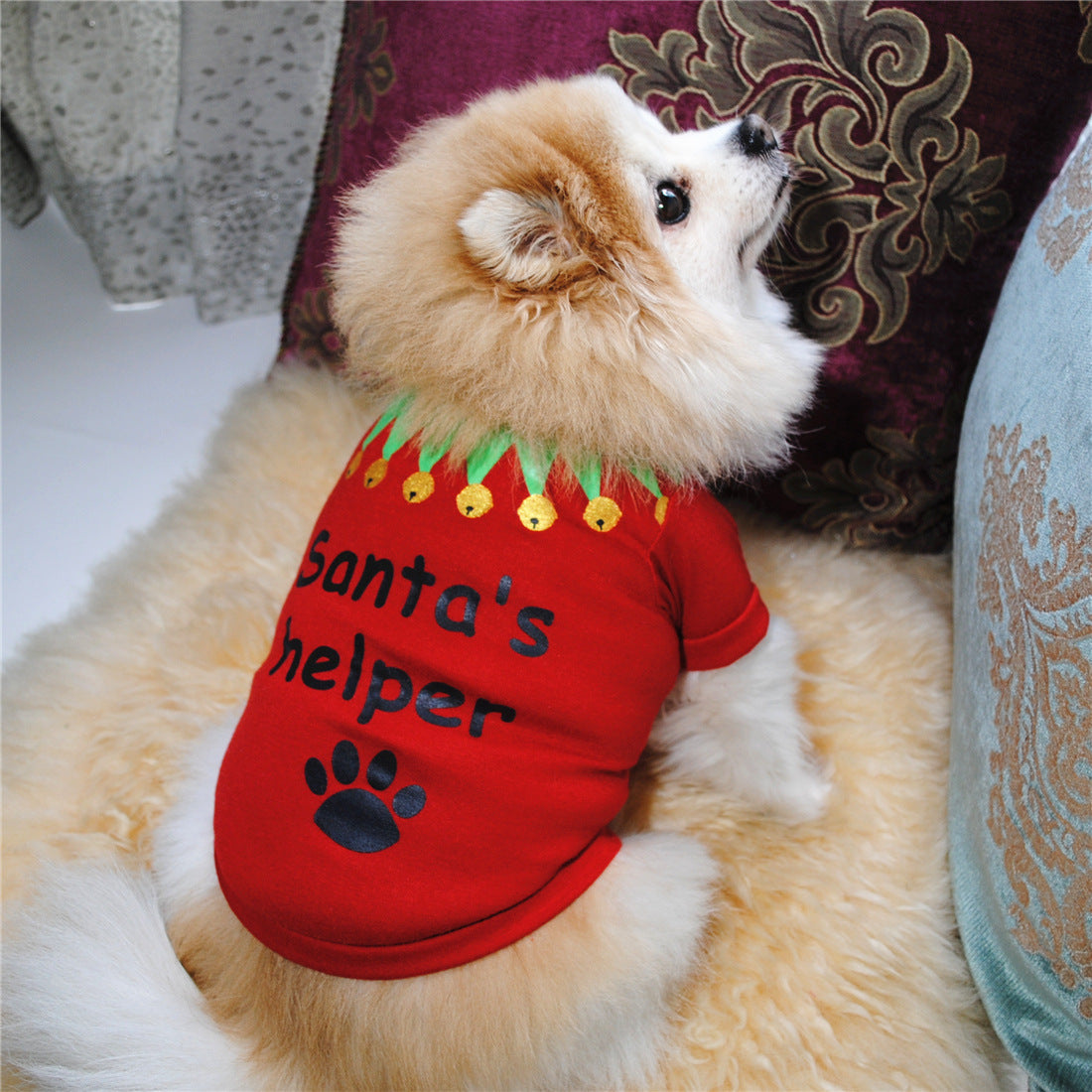 Cute Dog Clothing Christmas Shirt