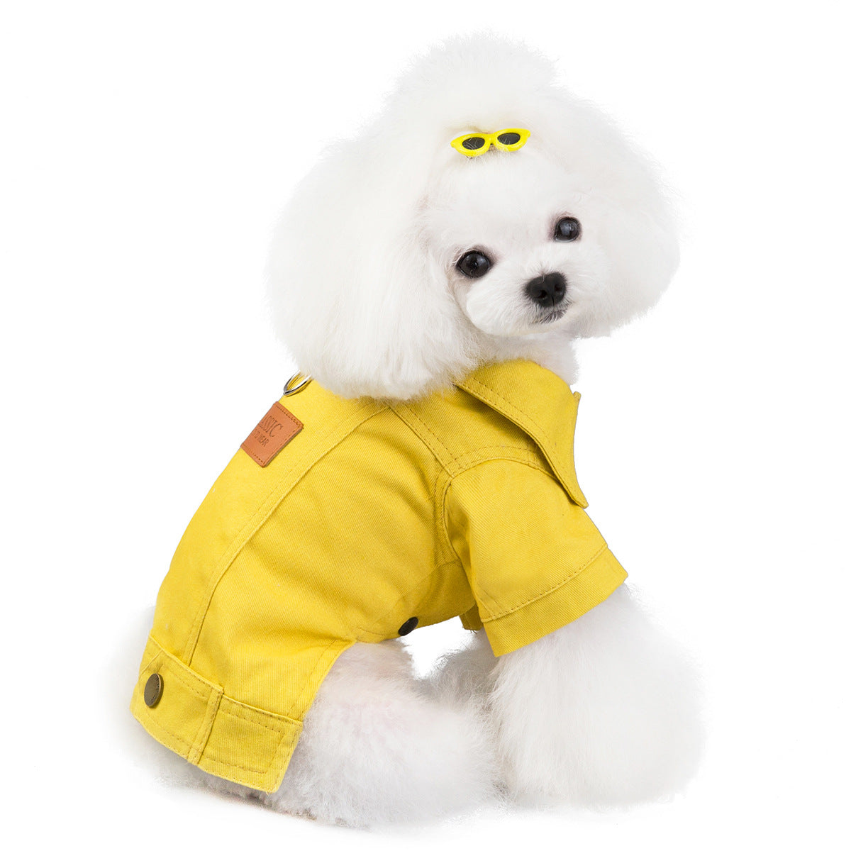 Warm Apparel Fashion Winter Coats for Dogs
