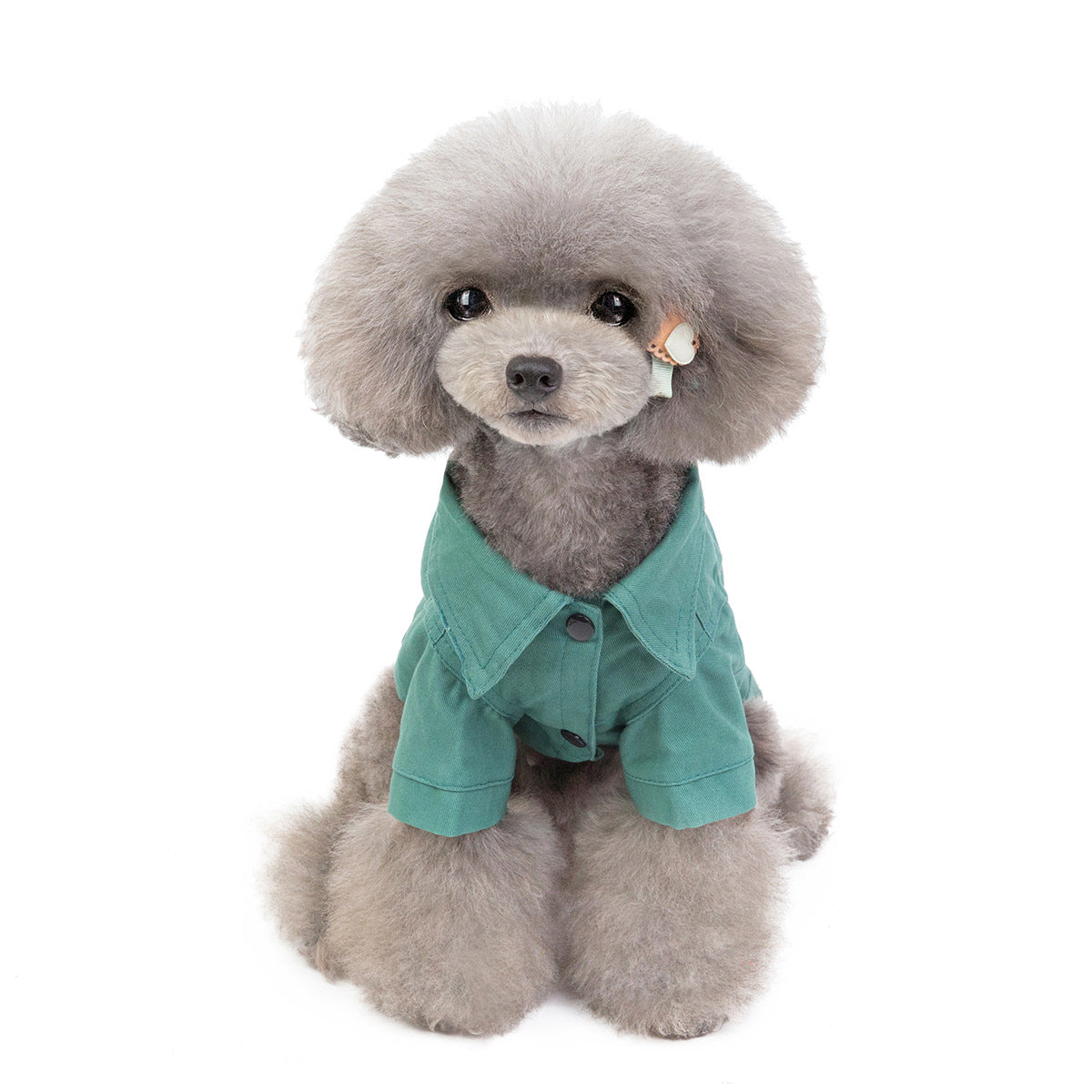 Warm Apparel Fashion Winter Coats for Dogs