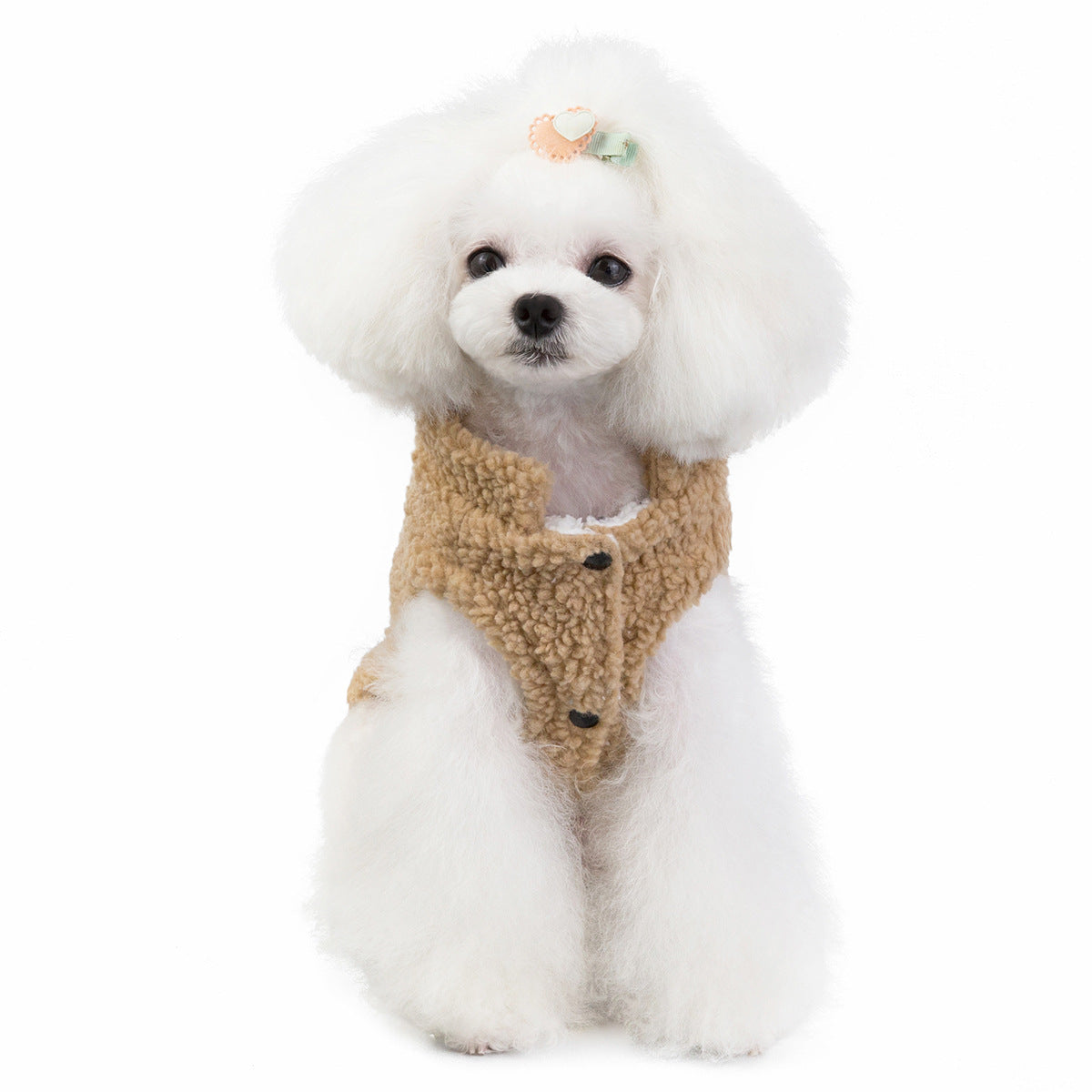 Dog Pullover Sweater for Small Dogs