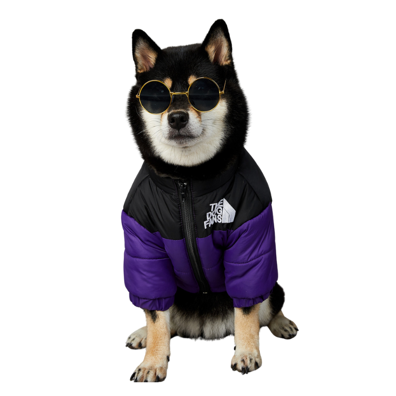 Dog Winter Coat Windproof Jacket for Small Medium Dogs for Cold Weather