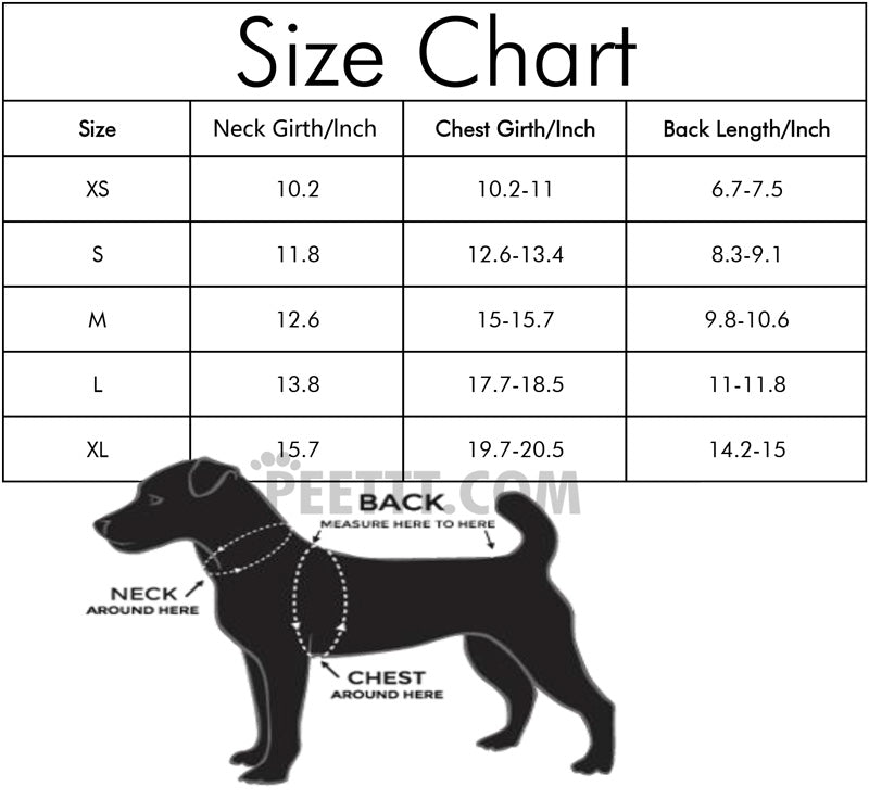 Puppy Christmas Pet Santa Claus Suit