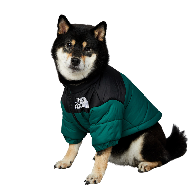 Dog Winter Coat Windproof Jacket for Small Medium Dogs for Cold Weather