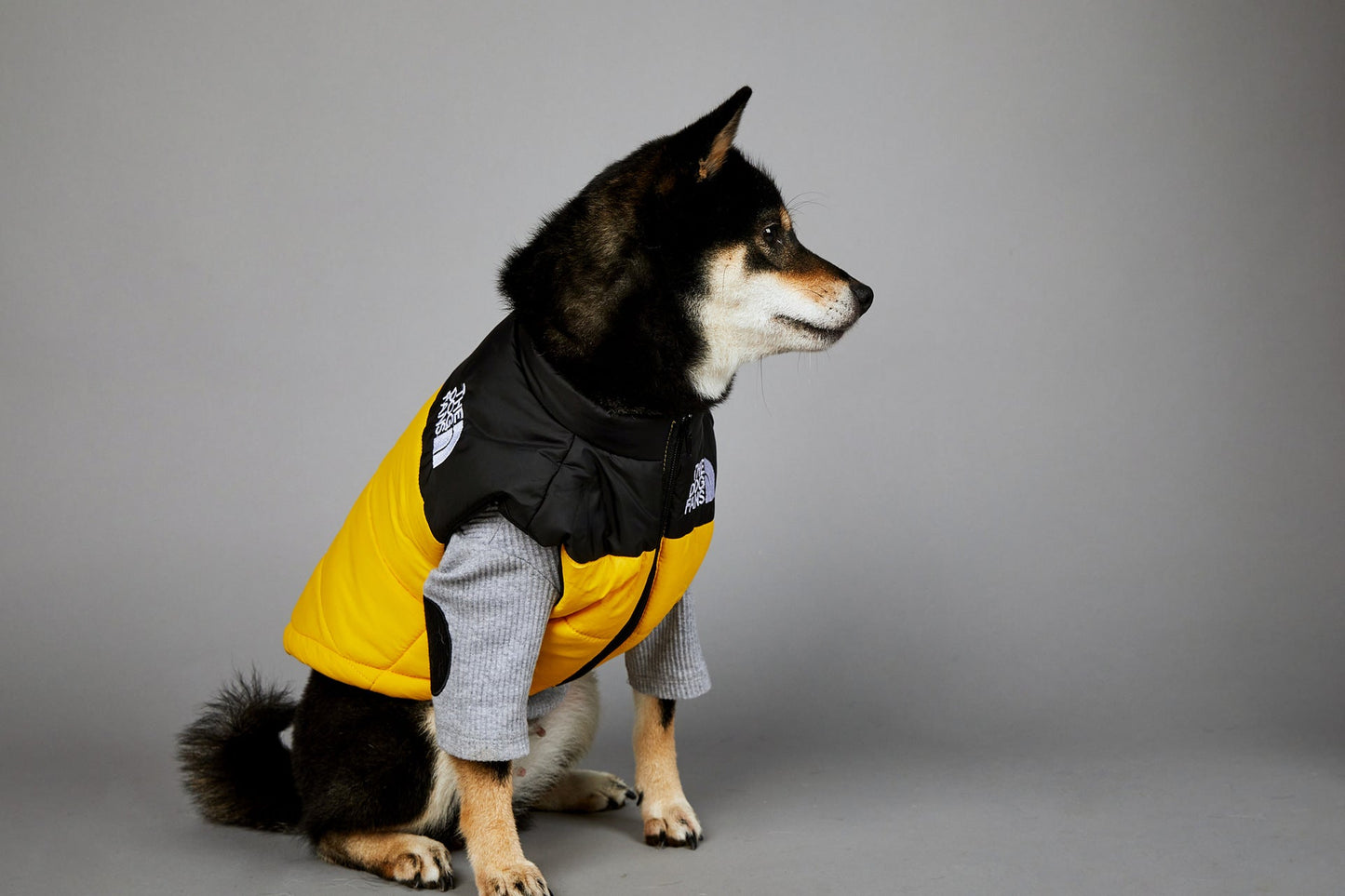 Dog Puffer Vest Warm Cold Weather Coat Snow Winter Vest for Dogs Cats Puppies