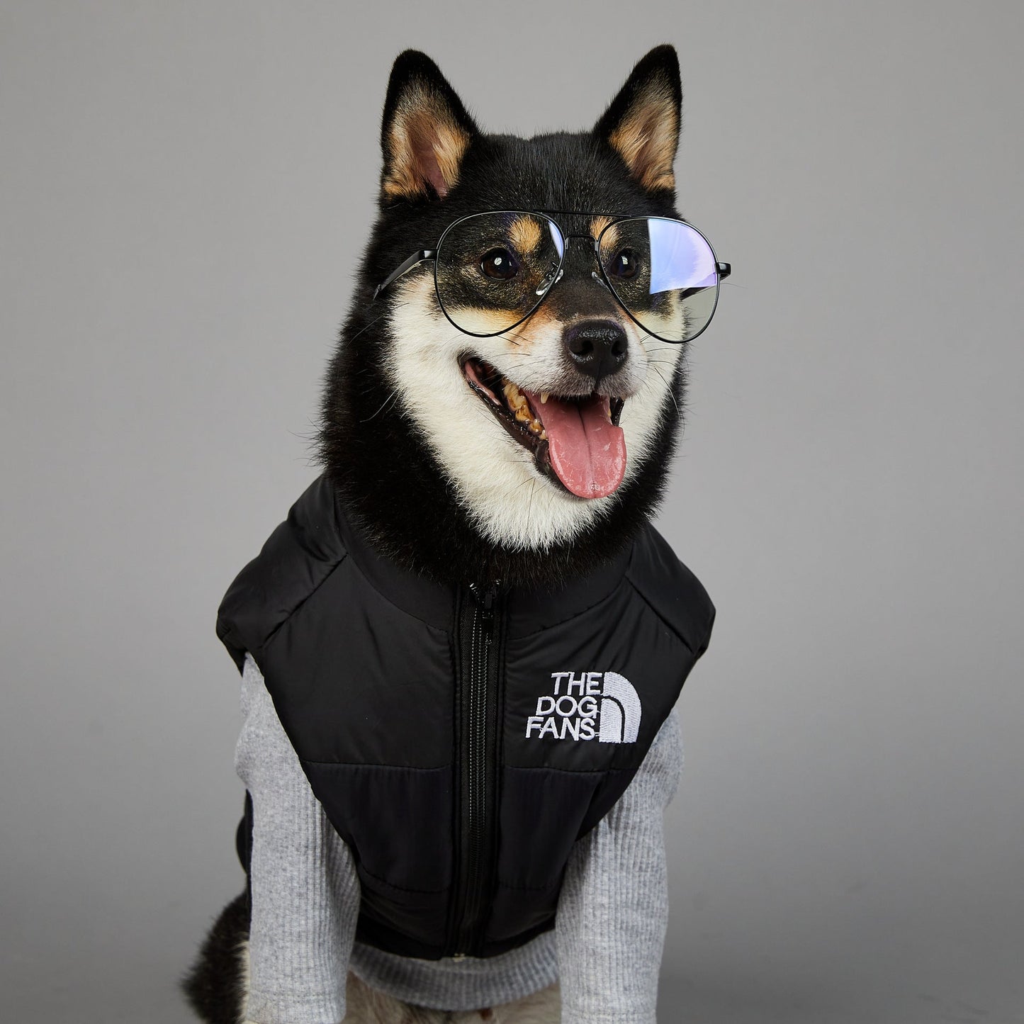 Dog Puffer Vest Warm Cold Weather Coat Snow Winter Vest for Dogs Cats Puppies