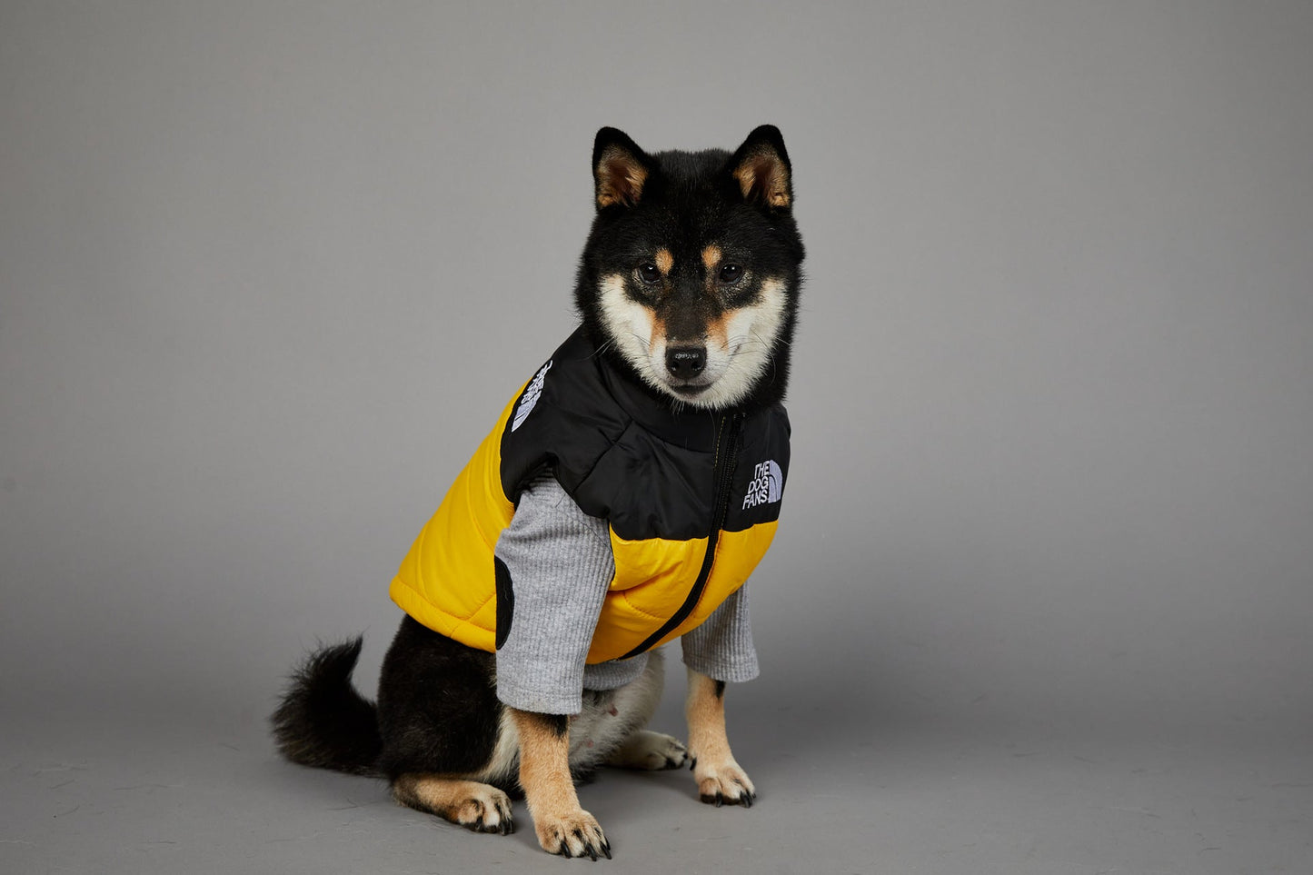 Dog Puffer Vest Warm Cold Weather Coat Snow Winter Vest for Dogs Cats Puppies