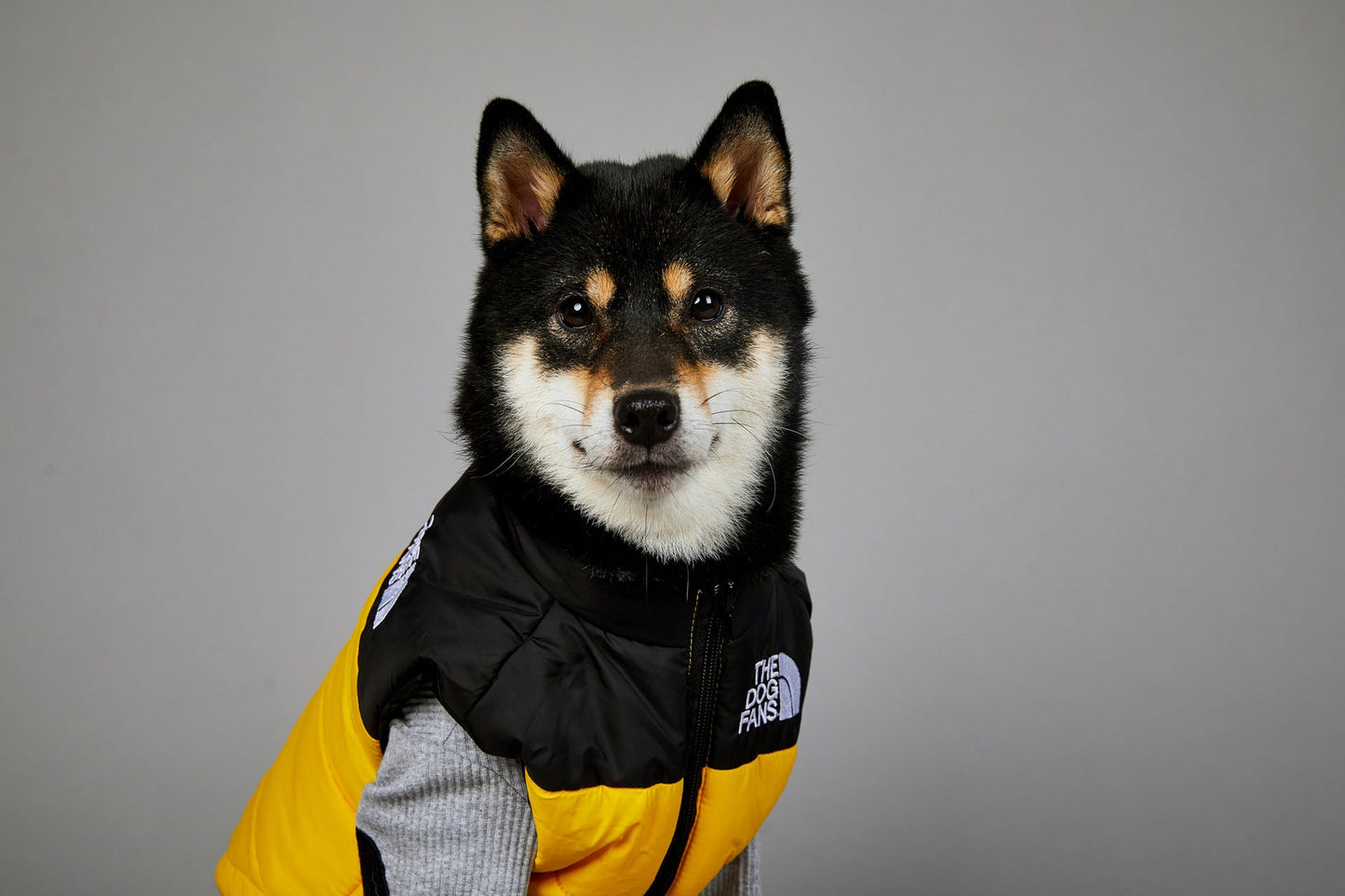 Dog Puffer Vest Warm Cold Weather Coat Snow Winter Vest for Dogs Cats Puppies