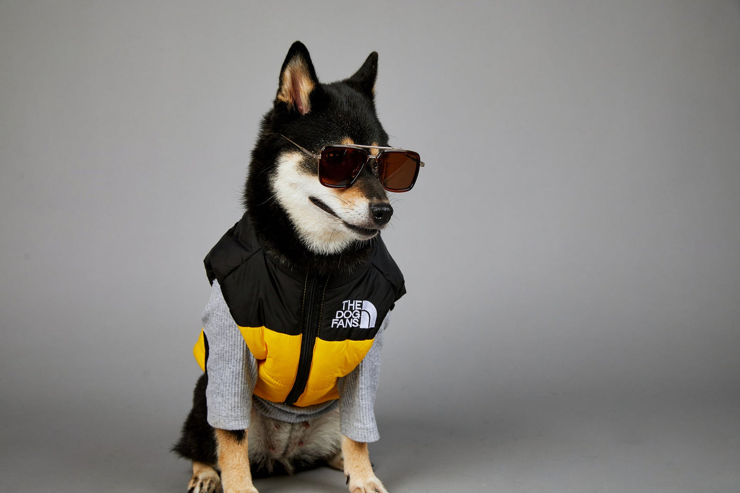 Dog Puffer Vest Warm Cold Weather Coat Snow Winter Vest for Dogs Cats Puppies