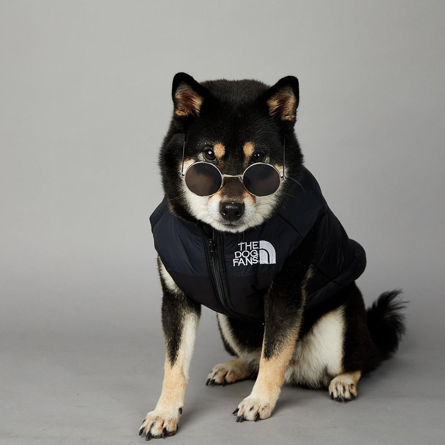 Dog Puffer Vest Warm Cold Weather Coat Snow Winter Vest for Dogs Cats Puppies