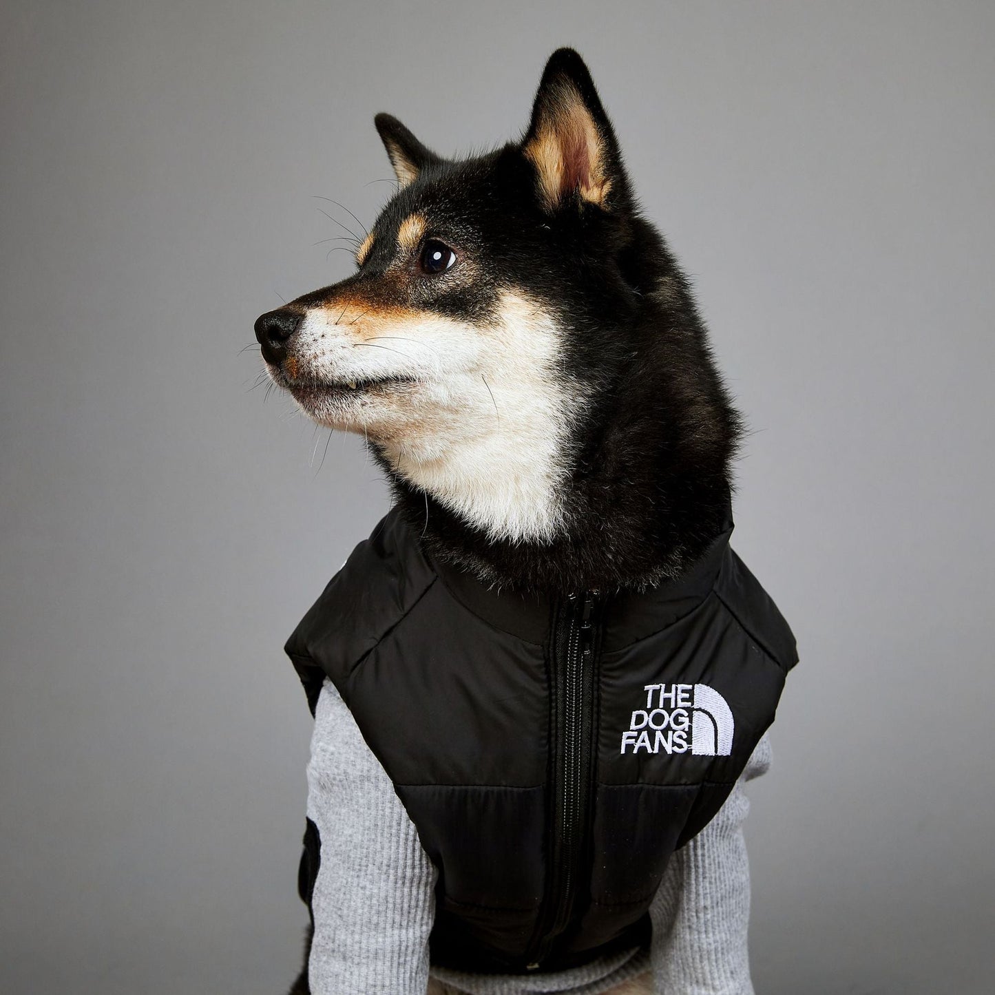 Dog Puffer Vest Warm Cold Weather Coat Snow Winter Vest for Dogs Cats Puppies