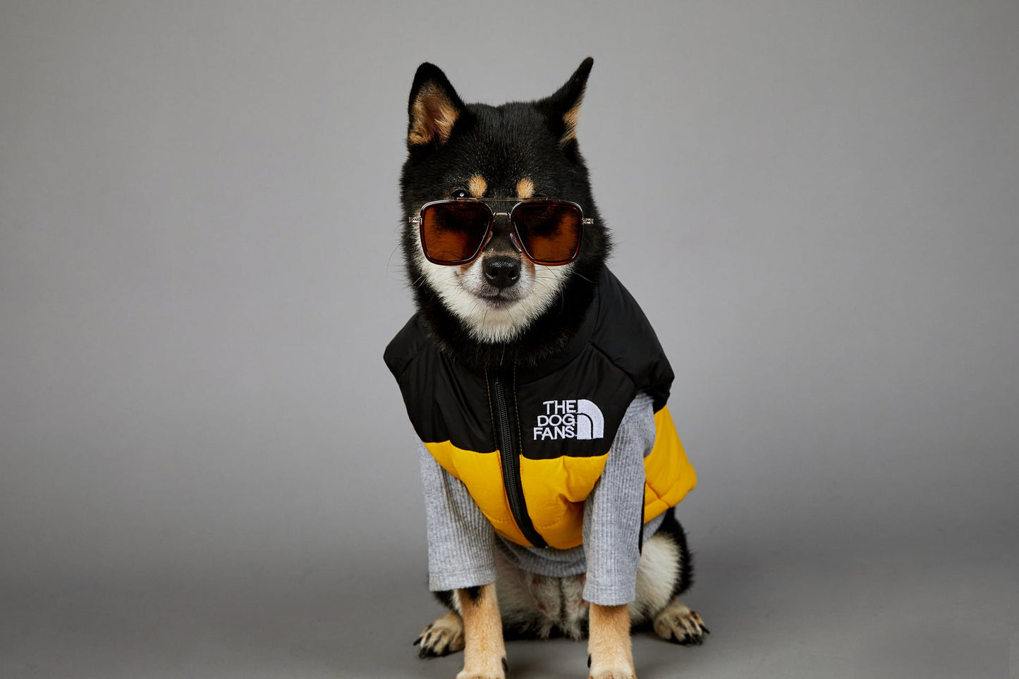 Dog Puffer Vest Warm Cold Weather Coat Snow Winter Vest for Dogs Cats Puppies