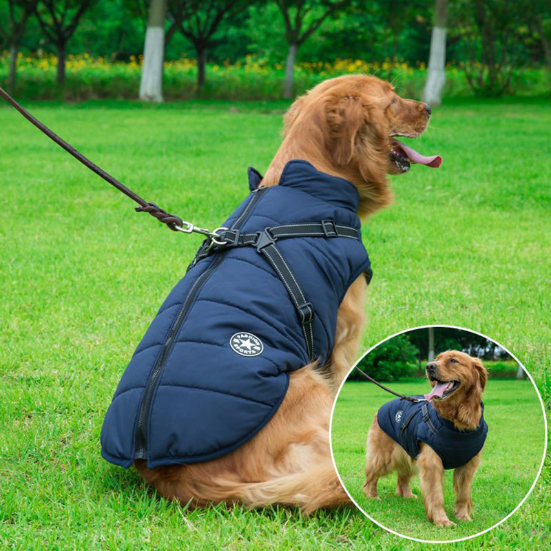 Large Pet Dog Jacket With Harness Winter Warm Dog Clothes