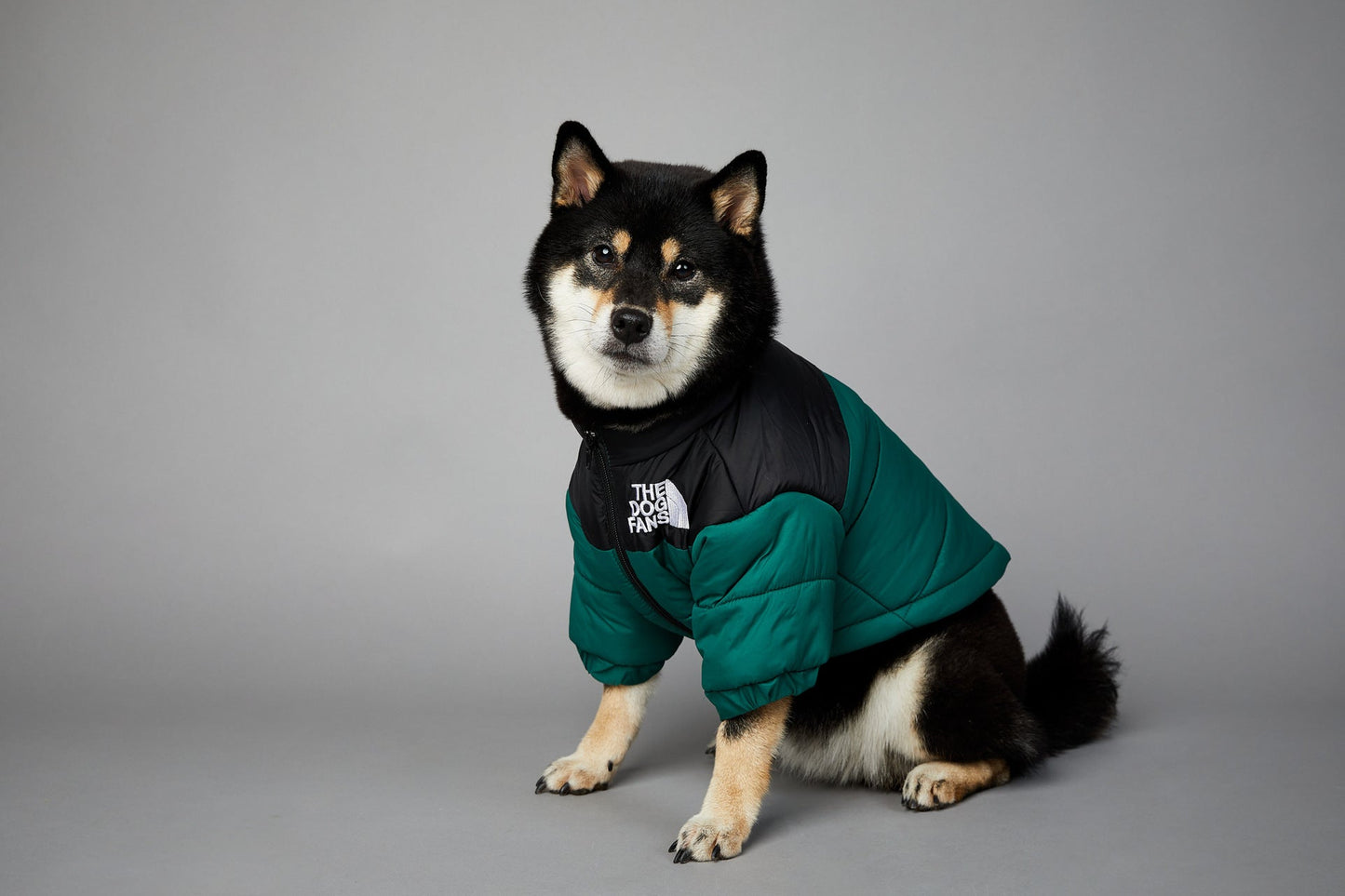 Dog Winter Coat Windproof Jacket for Small Medium Dogs for Cold Weather