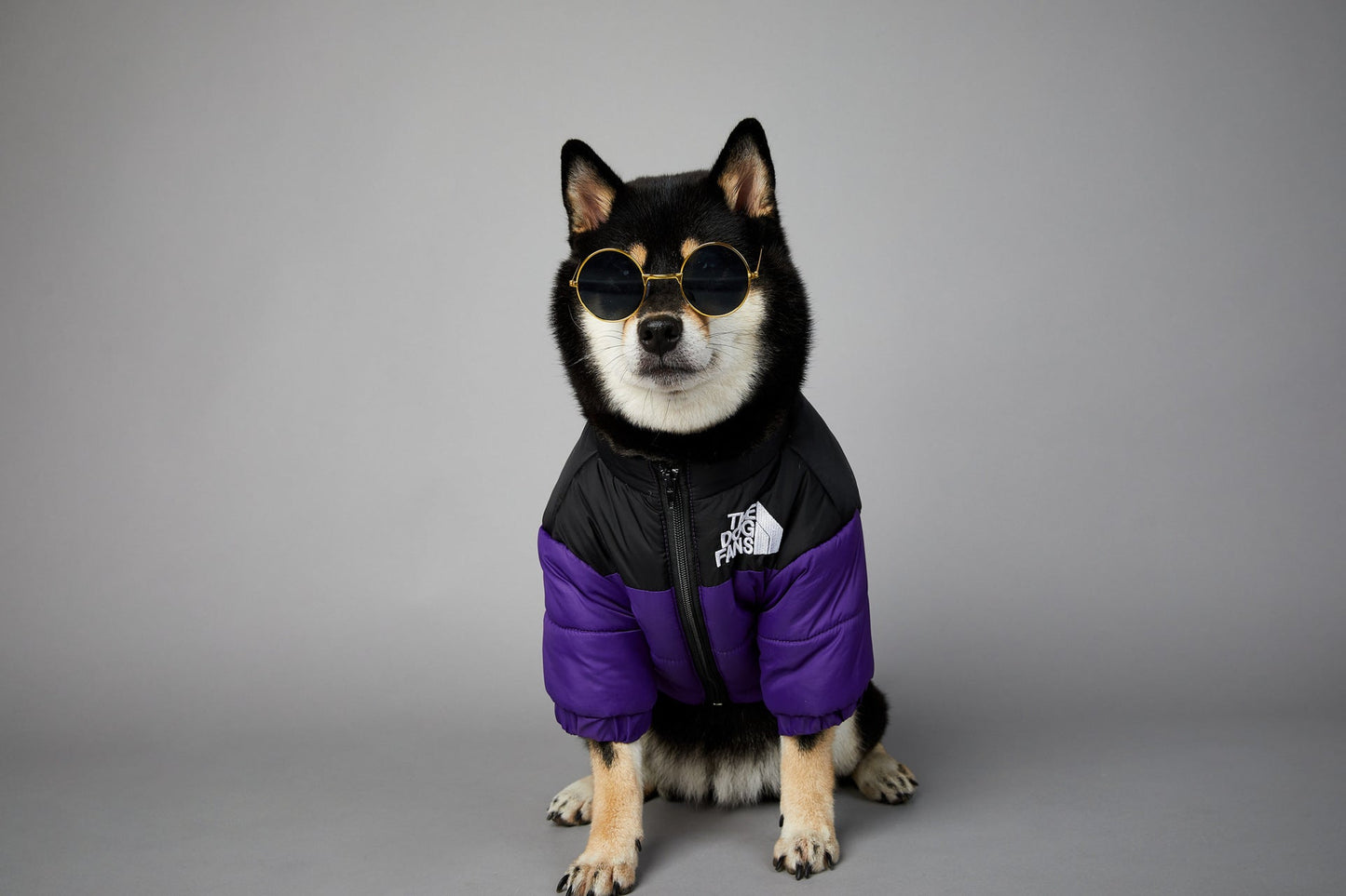 Dog Winter Coat Windproof Jacket for Small Medium Dogs for Cold Weather
